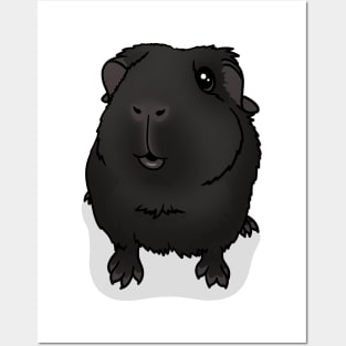 Black Guinea Pig Posters and Art